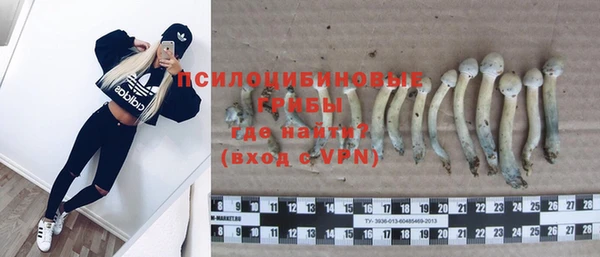 гидропоника Богданович