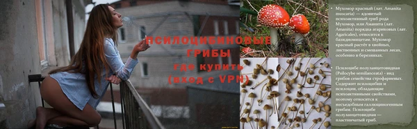 гашик Богородицк