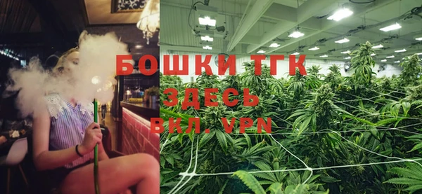 гидропоника Богданович