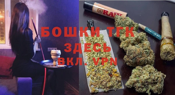 гидропоника Богданович
