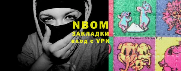 гашик Богородицк