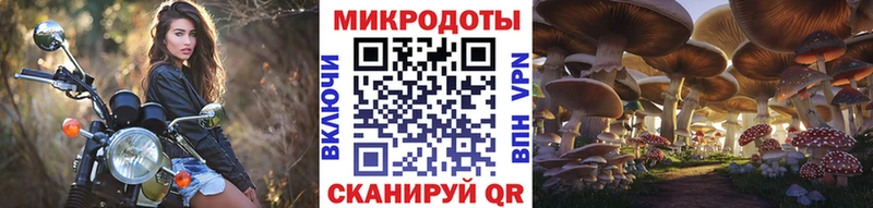 как найти Долинск Псилоцибиновые грибы Psilocybine cubensis
